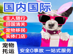 琼海航空空运国际宠物托运 【国